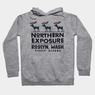 Northern Exposure /// Cicely Alaska Hoodie